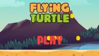 Flying Turtle Screen Shot 0