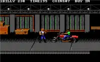 Double Dragon 3 Screen Shot 5