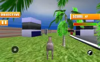 Goat Fight Simulator Screen Shot 0
