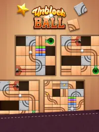 Unblock Ball - Block Puzzle Game Screen Shot 9