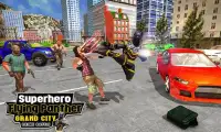 Superhero Flying Panther Grand City Crime Battle Screen Shot 2