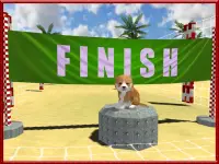 Cat Dog Pets Beach Stunts Sim Screen Shot 9