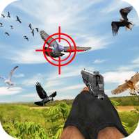 Bird Hunting 3D