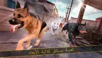 كلبي الظاهري . سباق الحيوانات Screen Shot 8