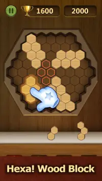 Wood Block Puzzle 2021 - Wooden 3D Cube Puzzle Gem Screen Shot 2