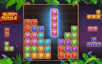 Block Puzzle: เกมสมองตลก Screen Shot 22