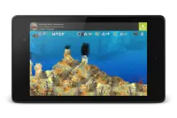 Wonder Fish नि: शुल्क खेलों HD Screen Shot 11