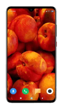 Fruit Wallpaper 4K Screen Shot 12
