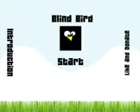 Blind Bird Drum Screen Shot 0