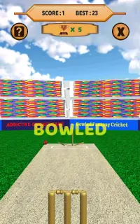 Bowled 3D - Cricket Game Screen Shot 15