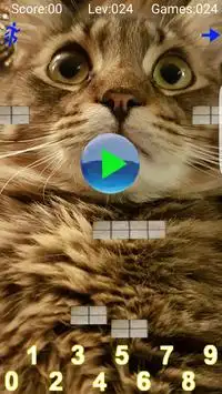 Taquitoゲム-数学のボールの猫の子供の無料の教育ゲーム Screen Shot 0