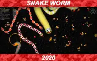 Snake Zone : wormsnakzone arena.io Screen Shot 2