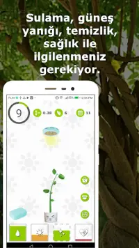 Şanslı ağaç - kendi ağacınızı dikin Screen Shot 0