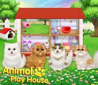 Animals Play House Screen Shot 9