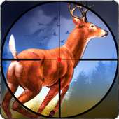Sniper Hunting: Kill the Deer
