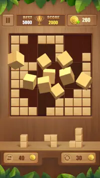 Mind Block Puzzle Screen Shot 4