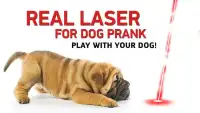 Real laser for dog prank Screen Shot 0