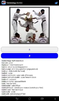 Taekwondo ITF Screen Shot 9