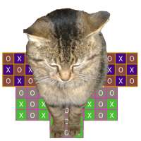 Tic tac toe vs Cat.