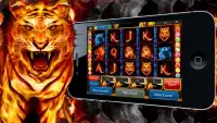 Fire Tiger: Free Slots Casino Screen Shot 0