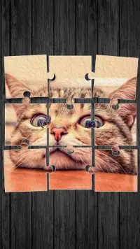 Kucing Lucu Permainan Puzzle Screen Shot 0