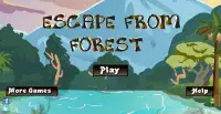 Escape Games N15 -ForestEscape Screen Shot 1