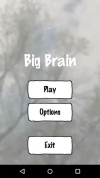 Big Brain Screen Shot 0