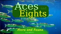 Aces and Eights: Flora & Fauna Screen Shot 0