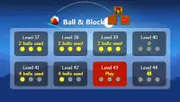 The Ball Game Screen Shot 0