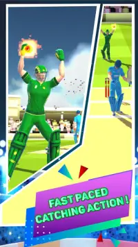 Mr. Keeper - WicketKeeper Fielding Game Screen Shot 3