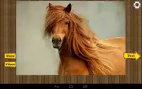 Horses Jigsaw Puzzles game Screen Shot 1