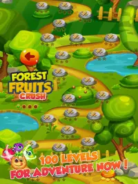 Fruit crush manie match 3 puzzel Screen Shot 7