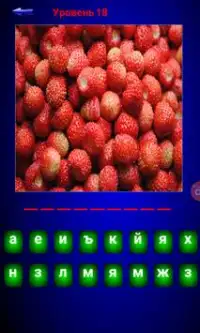 Language quiz: fruit and berries Screen Shot 6