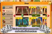 Maxi Backgammon Screen Shot 2