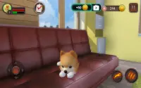 Pomeranian Dog Simulator Screen Shot 22