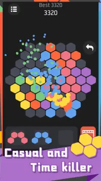 Hex Puzzle - Super fun Screen Shot 4