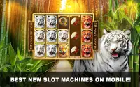 Slots Tiger King Casino Slots Screen Shot 6