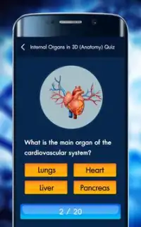 Internal Organs in 3D (Anatomy) Quiz Screen Shot 2