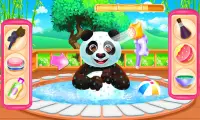 My Virtual Pet Panda : Caring and Grooming Screen Shot 3