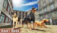 Hond versus kat vecht spel Screen Shot 8