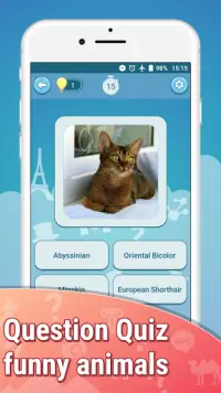 Jogos Grátis Adivinha Quiz Kittens Cute Cats ❓🐱⁉️ Screen Shot 5