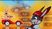 Ace Bunny Turbo Go-kart Race Screen Shot 0