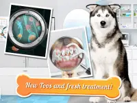 Dog Games: Pet Vet Doctor Care Games for Kids Screen Shot 4