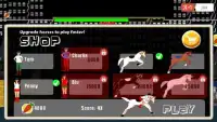 Horse Back Rider: Jockey Dash Screen Shot 5