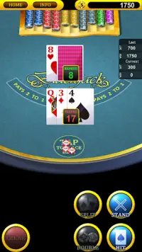 Casino Blackjack Screen Shot 0