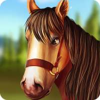Horse Hotel - घोड़ों की देखभाल