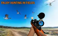 Sniper Duck Hunting Screen Shot 4