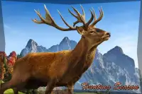 🦌 Open Season - Deer Hunting Wildlife 🐻 Screen Shot 11
