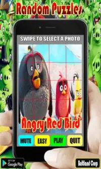 Random Angry Red Bird Puzzles Screen Shot 4