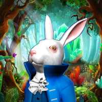Alice: Fantasy world in the Wonderland!
